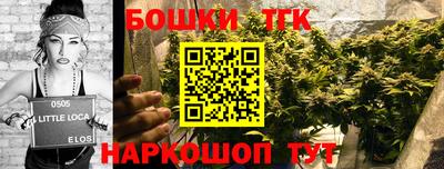 спайс Гусь-Хрустальный