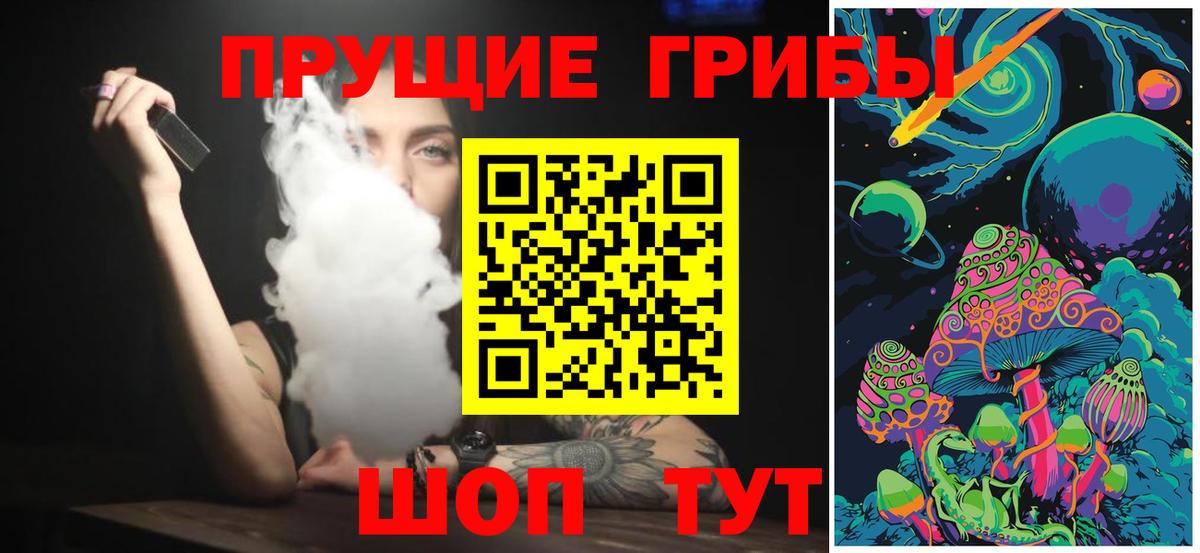 Псилоцибиновые грибы Cubensis Мурино