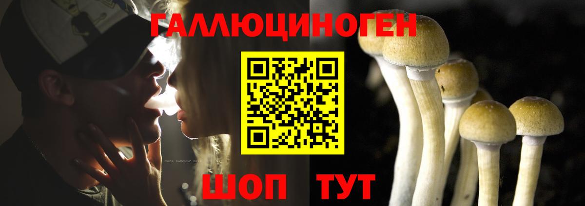 Мурино  Псилоцибиновые грибы Psilocybine cubensis  Вход с VPN 